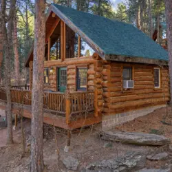 79994 473939 CC9aBrhmq4lmJdBGoDWA2xoGNFekILWZHDhQZ0Y tVA 69645be7df6d5.jpg