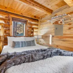 79994 473939 VJGBfQRW55iaFiMrkJzLxGLpU7gGov40Lroc5XnV5M4 69645bed57389.jpg