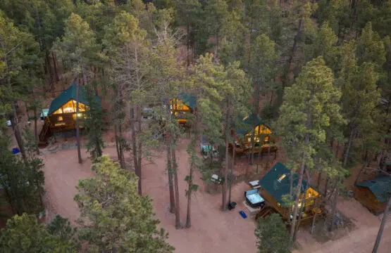 79994 473939 q5GSfCvgwSsza td9KFLhV50KUTEwO6RWLSdK yGTBc 696490ba449e4.jpg