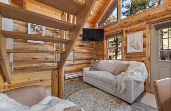 79994 473954 N0Ja0MND2Zb043CHou5ICrS6qOyprsF kU5sVqVKXCw 696490c42a19b.jpg