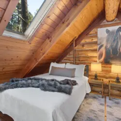 79994 473954 TjYT6Toz3BVkhKoDS0XMhcObcVRaEsrHL1bZC wWMuc 6964172ca7e36.jpg