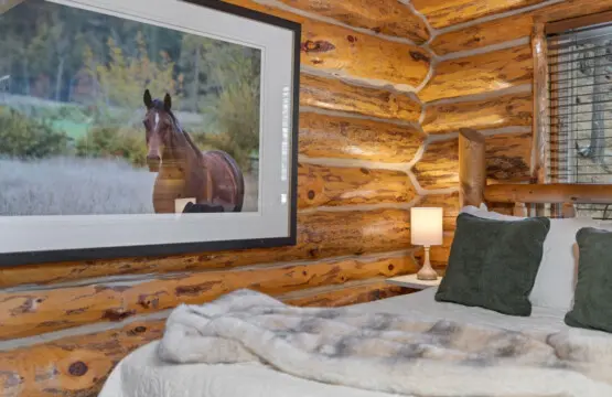 79994 473954 VNixyx8qiv7yGCS88oC0ir GbPWqmydcCmQt6zXKczw 696490b611496.jpg