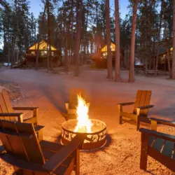 79994 473954 faeYLRuCUSETjuO4MSnaC2NLtxJ0jZhX Ggf HSFvvM 696416f3bca99.jpg