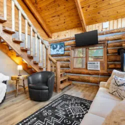 79994 474746 sN8S2oBKjti8JDLJXDA L Sp3pAA5ynl2R4drO2U1Q 696416af8c96a.jpg