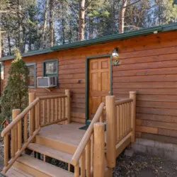 79994 474757 oipInNoiF7PRzbHCnvH uAuf3ss0IeybtnwT6TPCZYw 69665d6cd4ea6.jpg