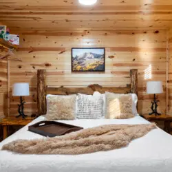 79994 474757 vy 2XvMvk2yYFRj 1HKhzeICG9Hn90ntQfhwczYMo5A 6964baff33b50.jpg