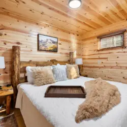 79994 474757 y0XaRt6I5QPmpOm6NU mVcsHz63T liFqeo1P1IdtDU 69648d0649a4b.jpg