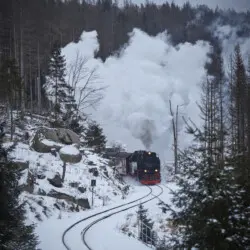 79994 474757 zMoS PPDU hUNeOvIpOlrRTXsAyv0v3rjd3x83RHTS4 696a656f9b719.jpg