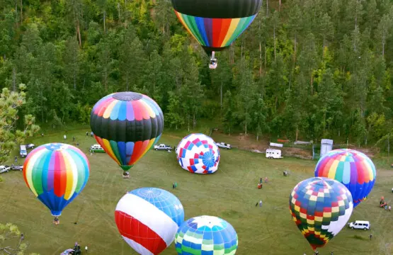 79994 473954 D7S4YgUMm2ve3L4m1eGQ IYGT7vNt1Fxt47c4KorbYc 696a5c70d845f.jpg