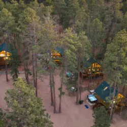 79994 473954 cszvvC5fkRWiYW47Tkc60Pi6eLz9orvIQPX6U Pjmwc 696416f5945d2.jpg