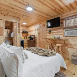 79994 474757 HIHmArhc rM6l7ZWijffrwNx0IB5gv6P6GN1vYBRzoU 698c7ffe106c1.jpg