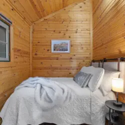 79994 481281 Xn3Mku5HC51UYvzsoSqKTBxTSIsBZPf9 xH vezTRXw 697ab83559d30.jpg