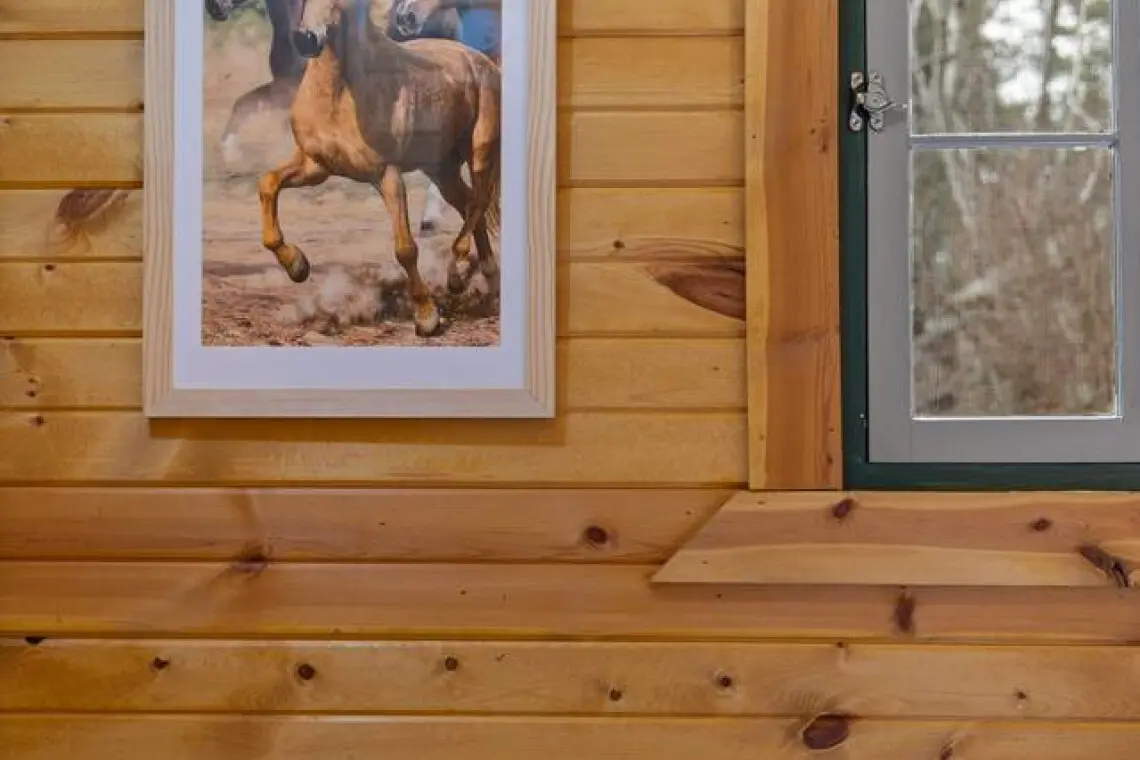 79994 481281 zjgVgJxxr1ldgHV29Lflc7jLaa3JG 0R7W08gOa5 Mw 697ab833002b8.jpg