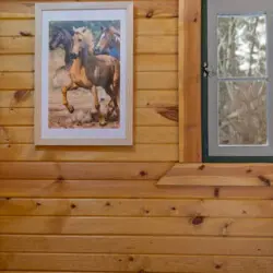 79994 481281 zjgVgJxxr1ldgHV29Lflc7jLaa3JG 0R7W08gOa5 Mw 697ab833002b8.jpg