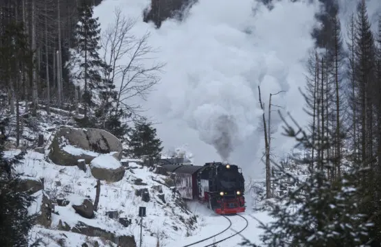 79994 481355 aMIhYZ1ZSBMtNbv Lw m3oUWIP 2rpWA8LfOnfg0K6U 697ce7bbbe2e7.jpg