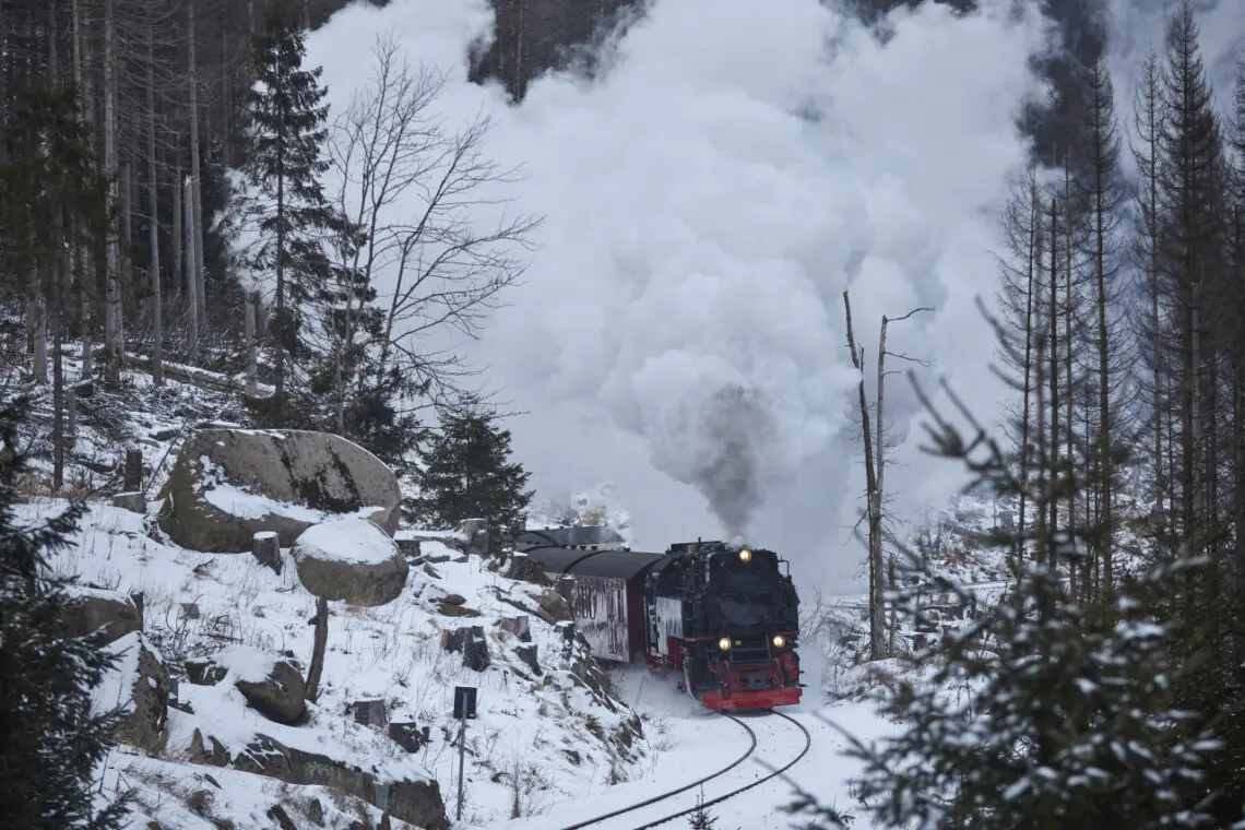 79994 481949 51USit7gC5 yddgvKQ6aIcIDlWTu6phNDKcFAkL1Urk 697fafc04c890.jpg