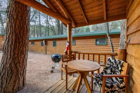 79994 481949 uDu3TL0oWP ArvX0H4gEple hFn139QZkJ0ACzXJI c 697cc819809a9.jpg