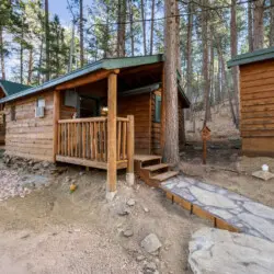 79994 481950 N SpuRKnaqYS9sy5n9RkafL RKWb6r8g PcVZDYcmi4 697cc814140e7.jpg