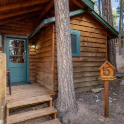 79994 481950 fv8nS72fLgcl5tJBruYw0Zbo qypSb0HBsA1 S2mJKY 697cc83a7a550.jpg