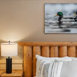 79994 486218 bSLV86KmngjB95ryfxSqZZVuB2HKSutMPskhuj9dVek 698f8365235b8.jpg