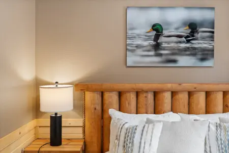 79994 486218 bSLV86KmngjB95ryfxSqZZVuB2HKSutMPskhuj9dVek 698f8365235b8.jpg