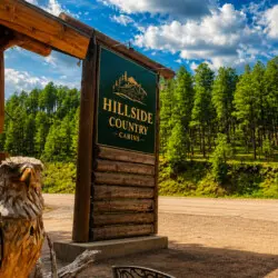 79994 474746 NfGkiIBku3J8LQm3rBbbBn8WXX5KinsIDFd5IK53k A 6a03d1f6cc908.jpg