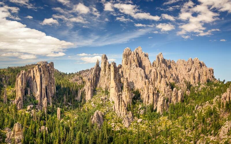 custer state park