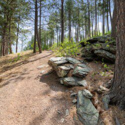 79994 474746 HD8MVvEjR2jzS1seah9h2pYW0VY3QegVI HsbS7kUic 6a338a5933d0e.jpg